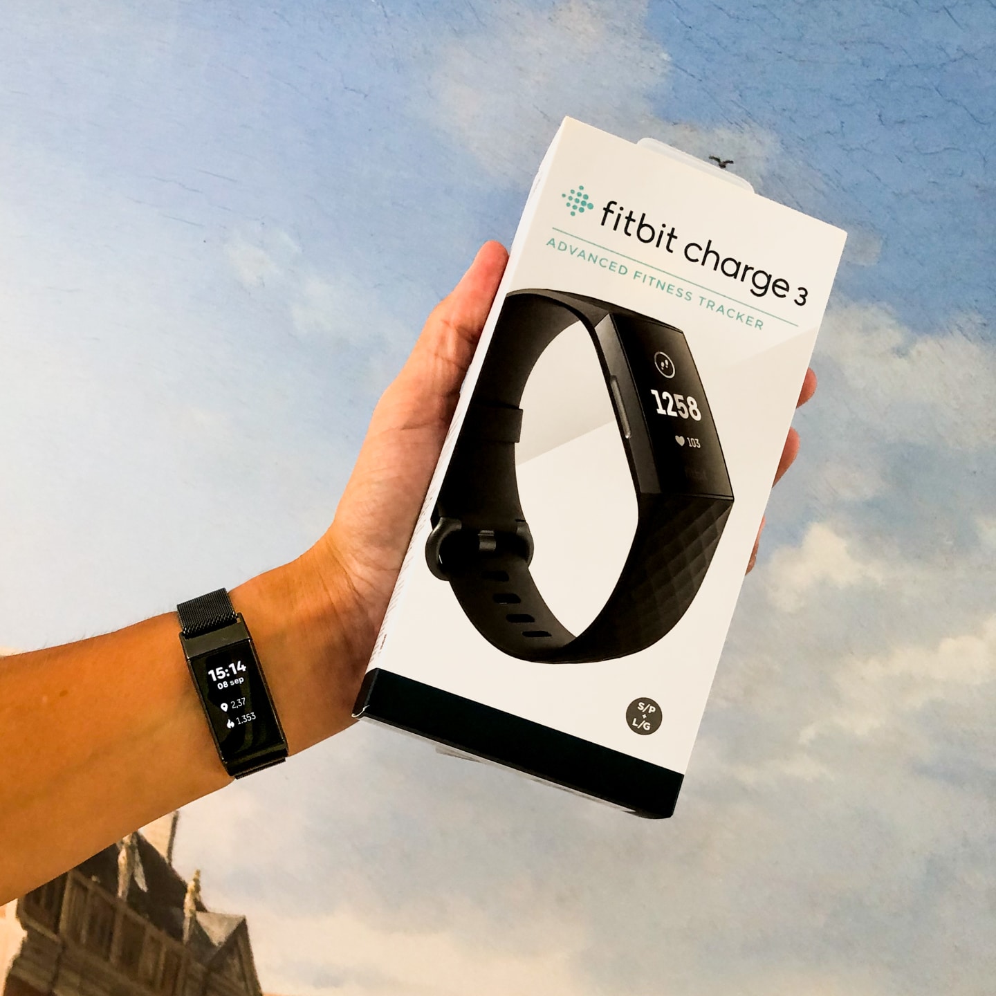 Fitbit Charge 3 - Zwart / Grafiet