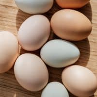 Verschil tussen witte en bruine eieren