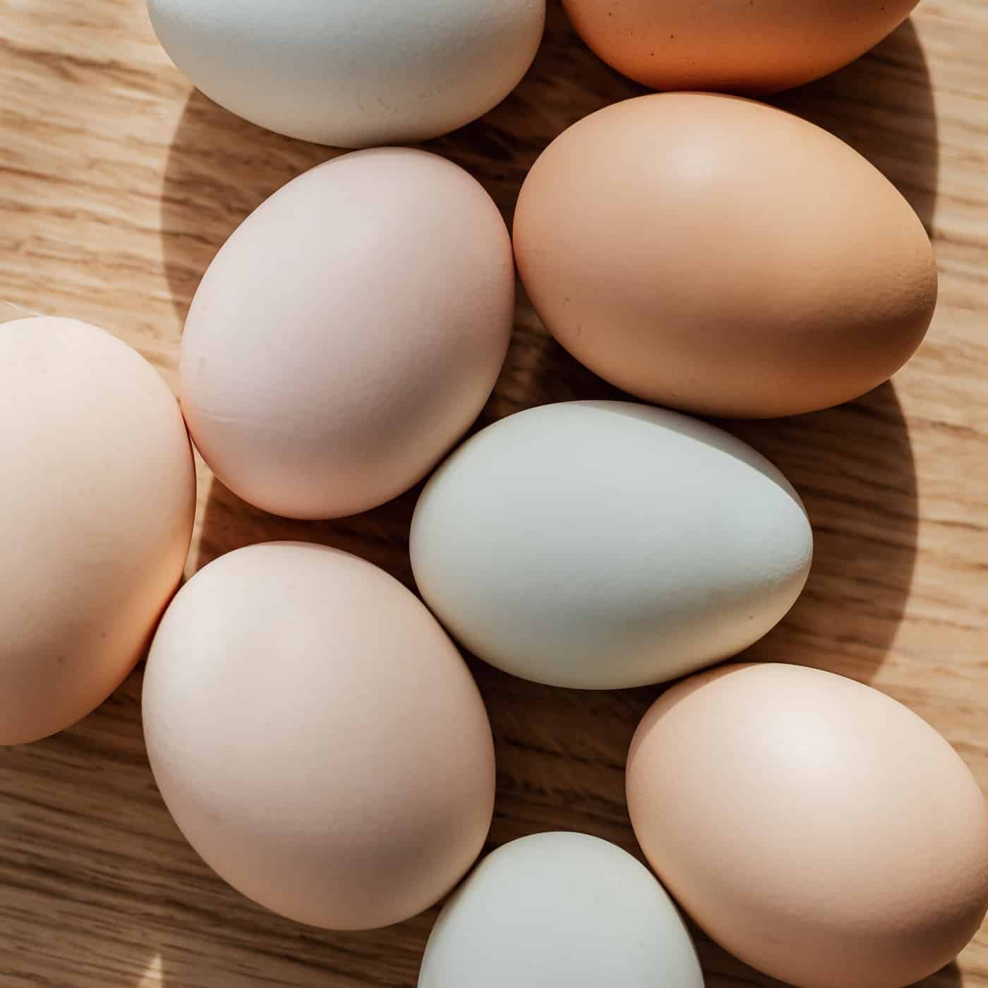 elke dag tactiek winkelwagen Het verschil tussen witte en bruine eieren - Basis.fit